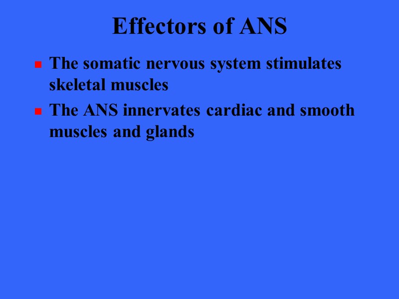Effectors of ANS The somatic nervous system stimulates skeletal muscles The ANS innervates cardiac